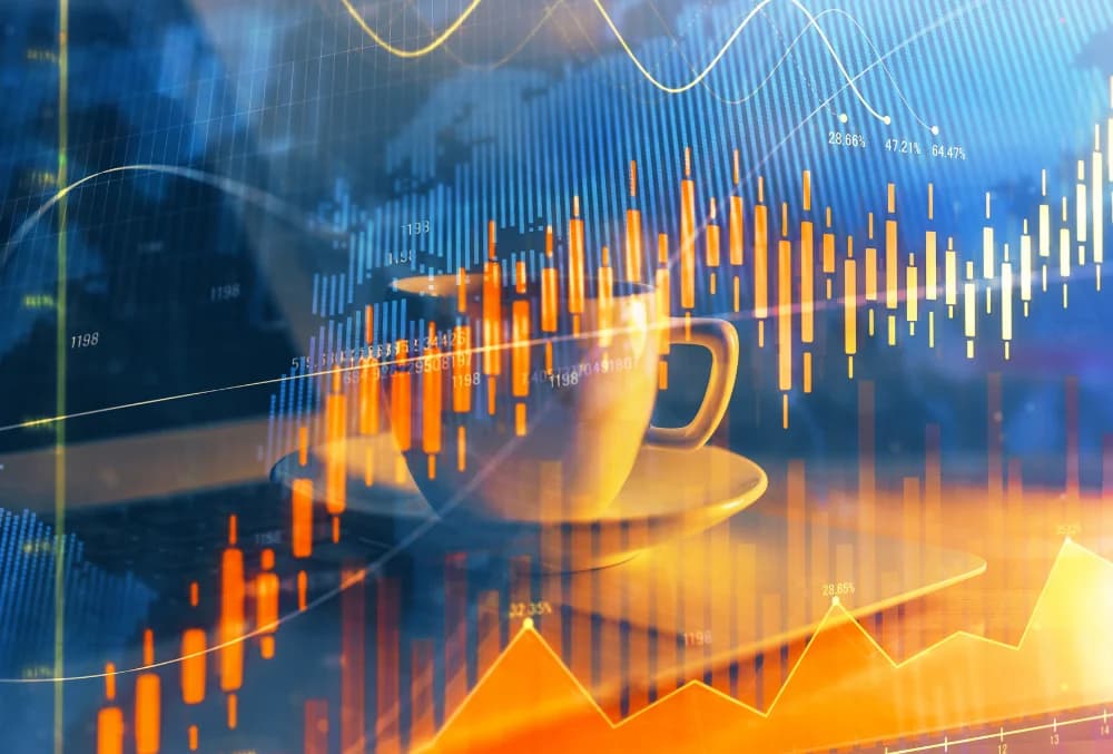 Digital Wallets – A Beginner’s Guide