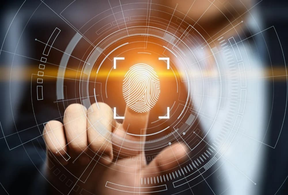 The impact of biometrics on online payments